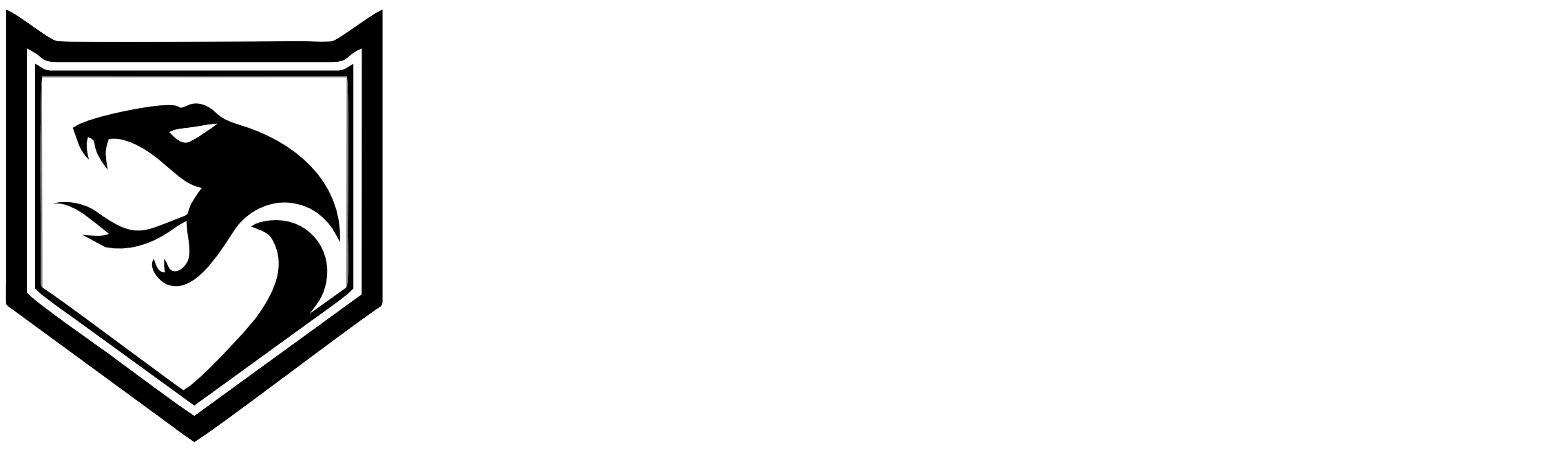 Forge Motorsport